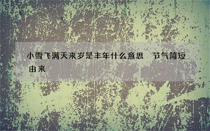 小雪飞满天来岁是丰年什么意思 节气简短由来